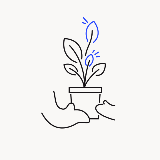 Illustration d'une plante en croissance